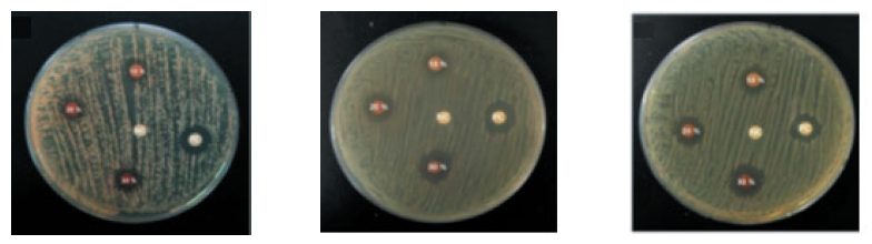 https://www.kjcdh.org/images/kjcdh/images/N0960100303_image/Fig_KJCDH_10_03_03_F1.png